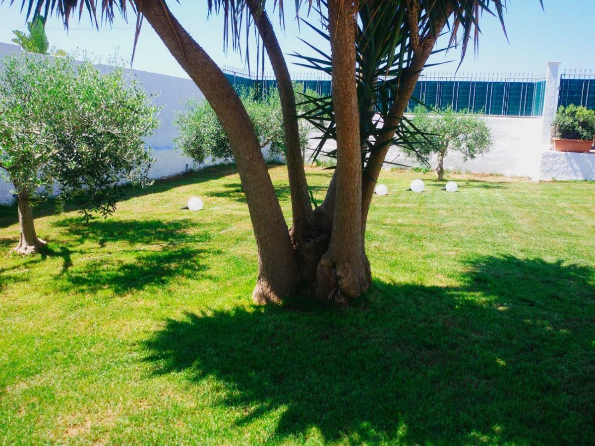 مارسالا B&B Zagara المظهر الخارجي الصورة