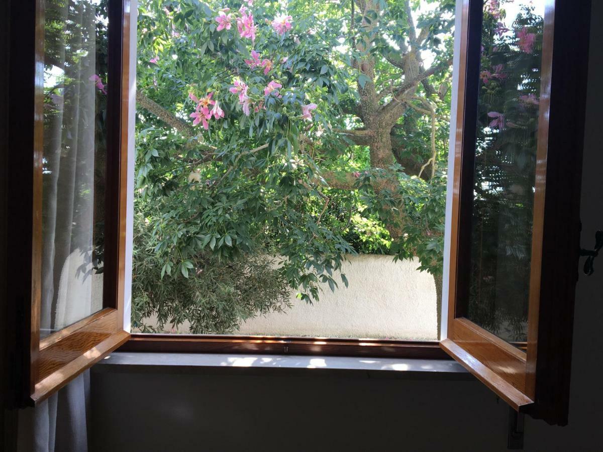 مارسالا B&B Zagara المظهر الخارجي الصورة