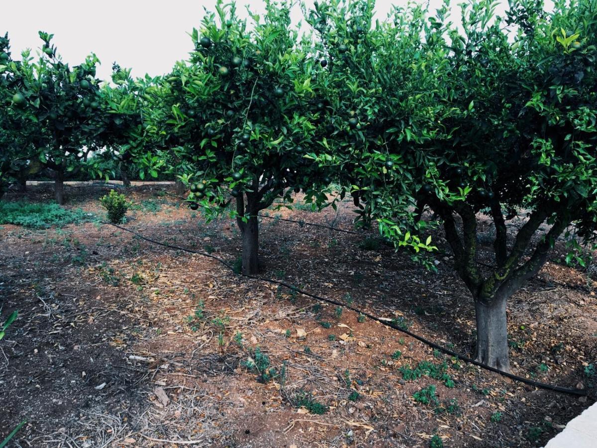 مارسالا B&B Zagara المظهر الخارجي الصورة
